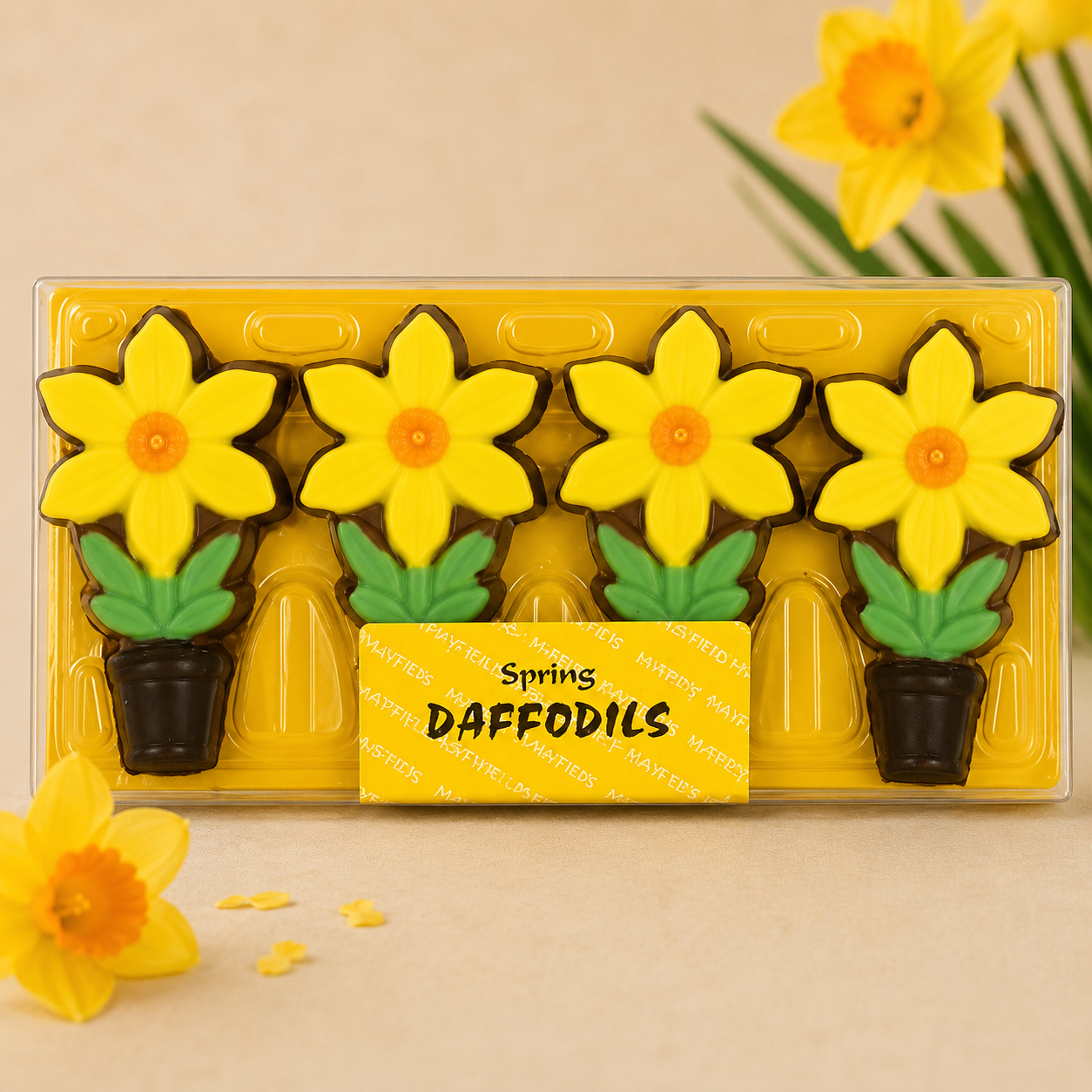 Chocolate Daffodils